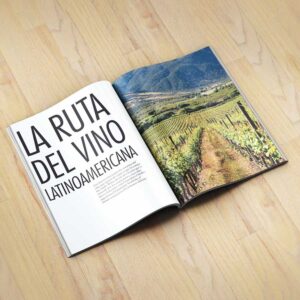 revista brillo